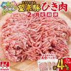 望来豚ひき肉 500g×4×2回