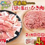 望来豚ウデ肉切り落とし 500g×2