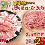 望来豚ウデ肉切り落とし 500g×2