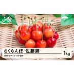 ふるさと納税 【先行予約】さくらんぼ 佐藤錦 赤秀 M玉 ご家庭用 1kg バラ詰 2026年産 令和8年産 山形県産 mm-snamx1000 山形県山辺町