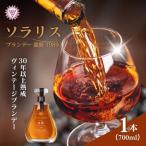 ブランデー 龍眼 1989 700ml×1本