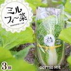 ミニ白菜 ミルフィ~菜 3個