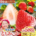 鮮度抜群 とちあいか 1箱