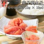 辛子明太子 特小切 10kg