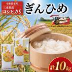 米 コシヒカリ ぎんひめ 5kg×2袋