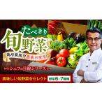 野菜 6-7種 少量 野菜セット