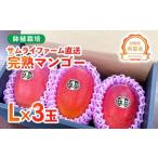 ショッピングふるさと納税 マンゴー ふるさと納税 【先行予約】西都産完熟マンゴー Ｌサイズ×3個 鉢植栽培 宮崎県西都産 サムライファーム 2026年発送＜1.5-233＞ 宮崎県西都市