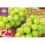 ふるさと納税 【新規格登場!!】〈2026年度配送分〉至福の山梨県産シャインマスカット 2房（1.0kg以上）シャインマスカット 山梨 県産 2026年度 .. 山梨県甲府市
