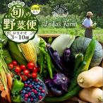 旬の野菜 果物 便 3~10種 1回分