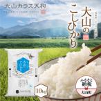 ふるさと納税 【先行予約】KT-02　大山カラス天狗 大山のこしひかり10kg【令和8年10月以降発送】 鳥取県大山町