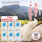 KT-03 大山のこしひかり10kg定期便3回コース