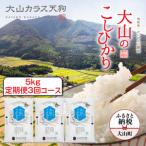 KT-04 大山のこしひかり5kg定期便3回コース