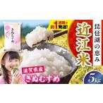 新米 白米 きぬむすめ 5kg