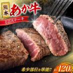 令和8年熊本地震復興支援 熊本あか牛 ミニステーキ約120g 1…