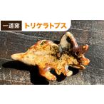 陶磁器 漆器 ガラス 恐竜箸置き トリケラトプス