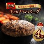 産の赤身牛 特製 手ごねハンバーグ 4個入り