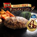 産の赤身牛 特製 手ごねハンバーグ 4個入り