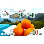 ふるさと納税 【先行予約】【訳あり】伊予柑 約10kg | 柑橘 みかん 果物 フルーツ 愛媛県産 農家直送　※離島への配送不可　※2026年1月中旬から.. 愛媛県伊方町