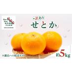 ショッピングふるさと納税 先行予約 ふるさと納税 【先行予約】【訳あり】せとか 約5kg | 柑橘 みかん 果物 フルーツ 愛媛県産 農家直送 　※離島への配送不可　※2026年3月上旬より.. 愛媛県伊方町