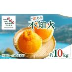 ふるさと納税 【先行予約】【訳あり】不知火 約10kg | 柑橘 みかん 果物 フルーツ 愛媛県産 農家直送　※離島への配送不可　※2026年2月下旬より.. 愛媛県伊方町