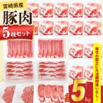 豚肉 5種 セット