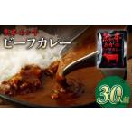 あか牛使用 くまもとあか牛 ビーフカレー 30人前