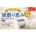 球磨の恵みヨーグルトセット 加糖1kg×4個