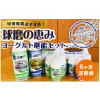 球磨の恵みヨーグルト堪能セット