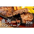 ふるさと納税 鹿肉ハンバーグ 10個 ジビエ ハンバーグ ジビエハンバーグ (1パック2個入り×5パック) 小分け 冷凍ハンバーグ 赤身 あらびき .. 岐阜県本巣市