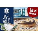 ハモ 魚貝類 小豆島島鱧 活け締め骨切り 小豆島産