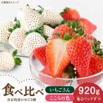 こころの色 いちごさん 計920g