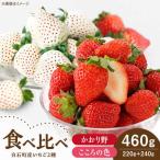 こころの色×かおり野 計460g