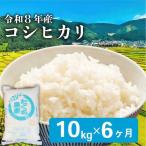 令和8年産 新米 こしひかり 10kg