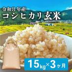 令和8年産 玄米 こしひかり 15kg