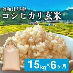 令和8年産 玄米 こしひかり 15kg