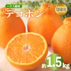 デコポン 不知火 約1.5kg