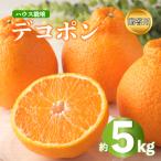 デコポン 不知火 約5kg
