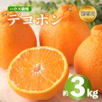 デコポン 不知火 約3kg