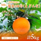 浅野農園の愛果28号 まどんな 計5kg※離島への配送不可