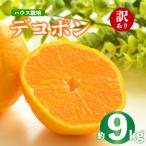 デコポン 不知火 約9kg