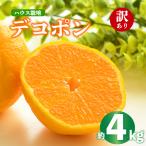 デコポン 不知火 約4kg