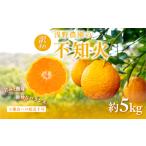 ふるさと納税 【先行予約】【訳あり】浅野農園の不知火 計5kg ※離島への配送不可（2026年2月中旬頃より順次発送予定） IKTAC033 愛媛県伊方町