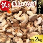 訳あり生 しいたけ 2kg