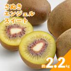 さぬきエンジェルスイート キウイ 約2.2kg