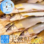 天然 鮎 800g