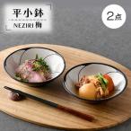NEZIRI 梅 平小鉢 2点セット