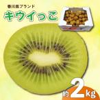 さぬきキウイっこ 約2kg