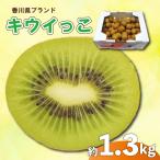 さぬきキウイっこ 約1.3kg