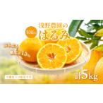 ふるさと納税 【先行予約】【家庭用】浅野農園のはるみ 計5kg ※離島への配送不可（2026年2月上旬頃より順次発送予定） IKTAC031 愛媛県伊方町