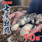 七尾牡蠣10個入り ※北海道 沖縄 離島への配送不可